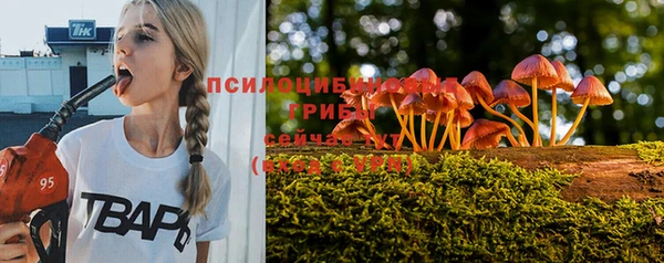 дживик Белокуриха