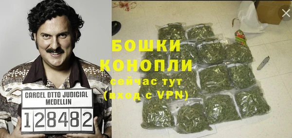 дживик Белокуриха