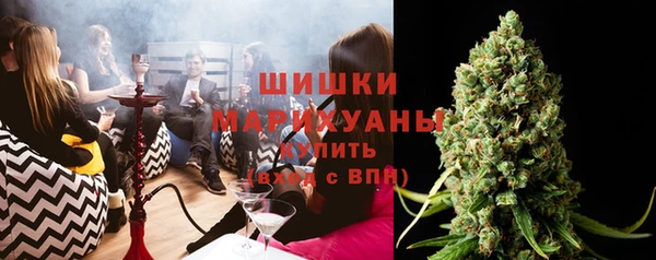 дживик Белокуриха