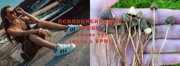 каннабис Беломорск