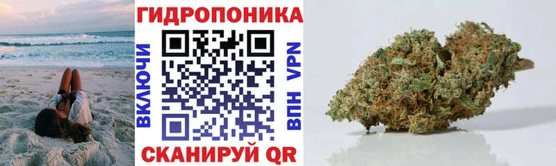 Каннабис Bruce Banner  Куртамыш 